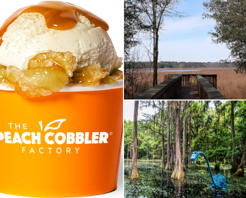 Tallahassee cover photo collage