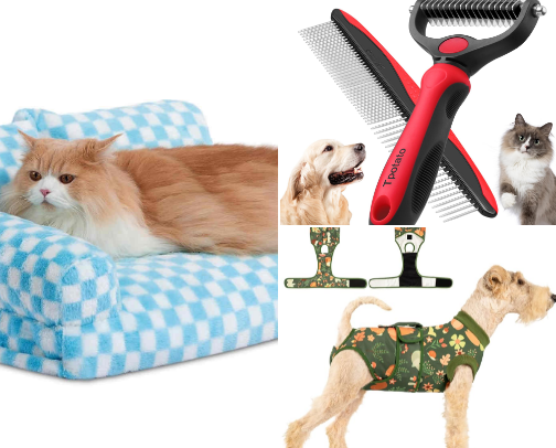 Animal Must Haves cover photo collage