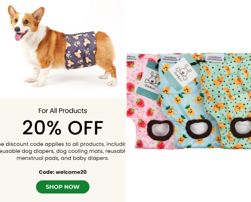 Pet products cover photo collage