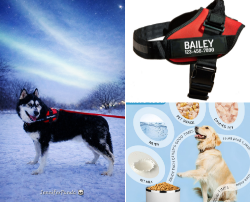 Panda 🐼  gear cover photo collage