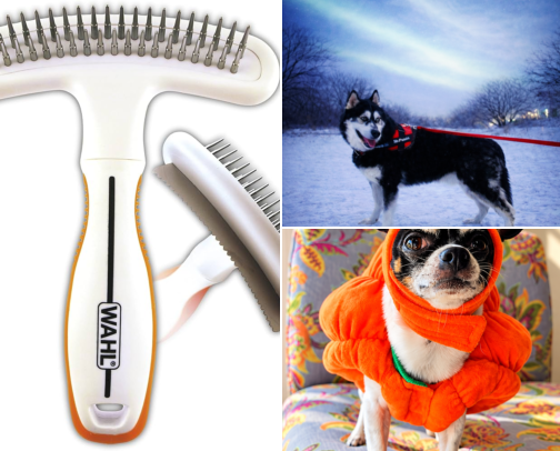 Panda 🐼  gear cover photo collage