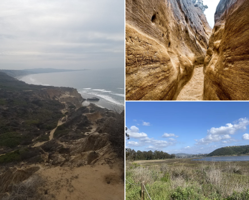 Best Ways to Be Active in San Diego cover photo collage