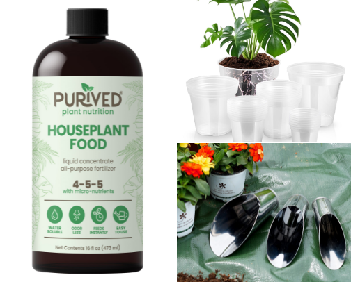 Plant essentials 🌱 cover photo collage