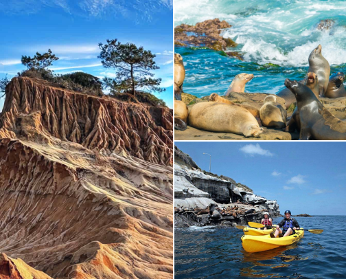 This Is Your Sign to Explore San Diego! cover photo collage