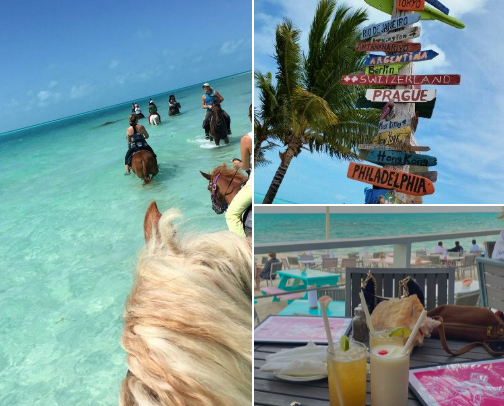 the digital archive of an island girl: turks and caicos edition 🌴🇹🇨✈️ cover photo collage