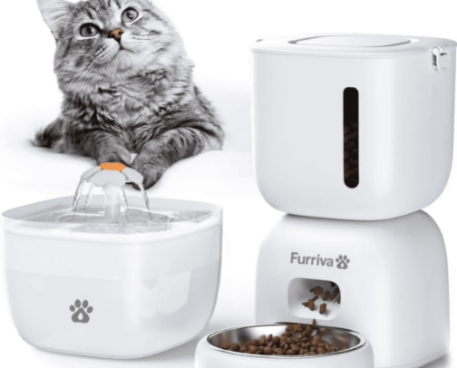 Things every cat lover needs cover photo collage