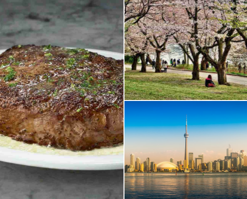 Ultimate Things to Do in Toronto: Top Attractions, Food Spots, Local Gems & Fun Activities cover photo collage