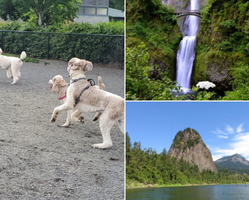 My top recs cover photo collage