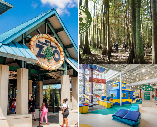 Check out Louisiana cover photo collage