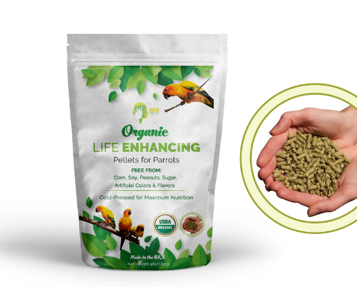 They're just baby birds... parrot edition cover photo collage