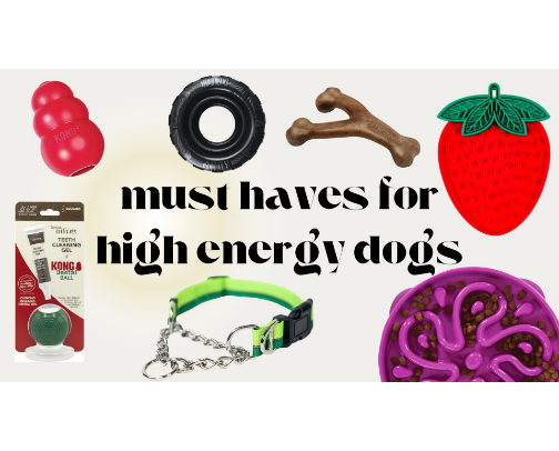 must haves for a high energy dog cover photo collage