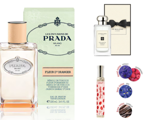 Favorite perfumes cover photo collage