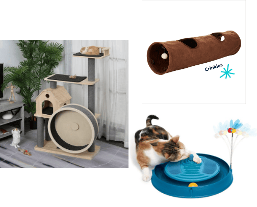 Cats supplies (toys + food) 🧸 cover photo collage