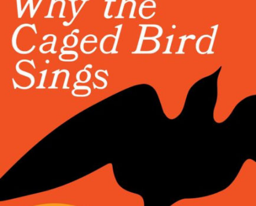 My favorite book recs cover photo collage