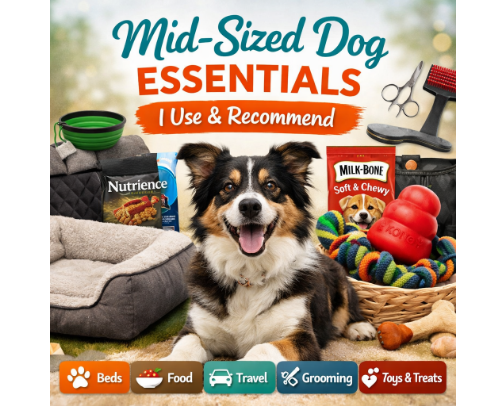 🐕 Mid-Sized Dog Essentials I Use & Recommend (30–60 lbs) cover photo collage