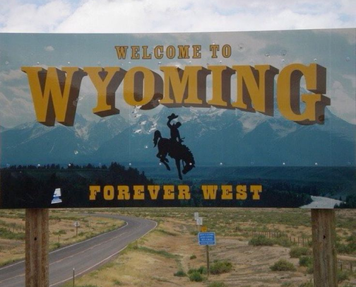 Wyoming From Bison to Beauty: My Fave Things to Do in Wyoming cover photo collage