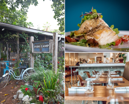 🌴 Downtown Sarasota: Where to Eat, Drink & Explore cover photo collage