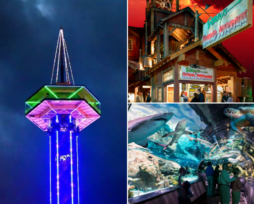 Super fun attractions in Gatlinburg, TN cover photo collage