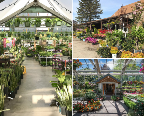 Maine: Visit the Best Greenhouses cover photo collage