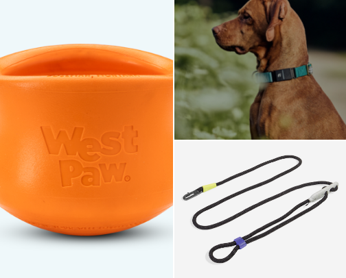 For The Pups! cover photo collage
