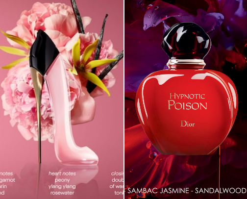 PERFUMES PARA  HOMBRES Y MUJERES 🌟✨ cover photo collage