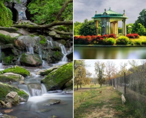 St. Louis cover photo collage