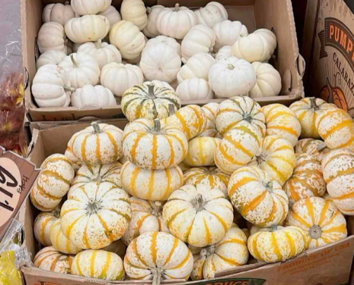 Trader Joe’s Fall Must-Haves 🍂 cover photo collage