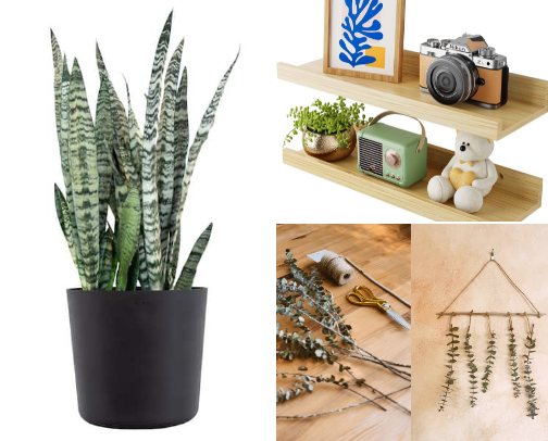 Nature-Inspired Healing Décor cover photo collage