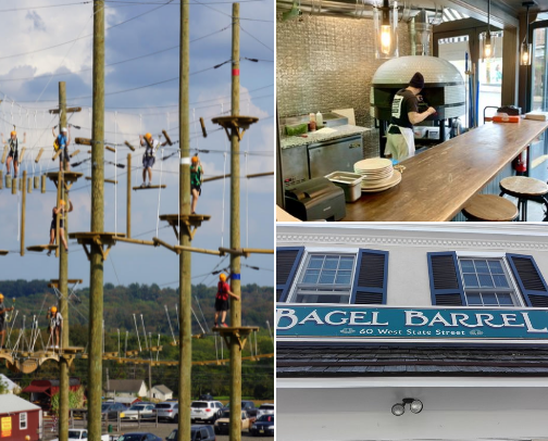 Bucks County Finds🌱 cover photo collage