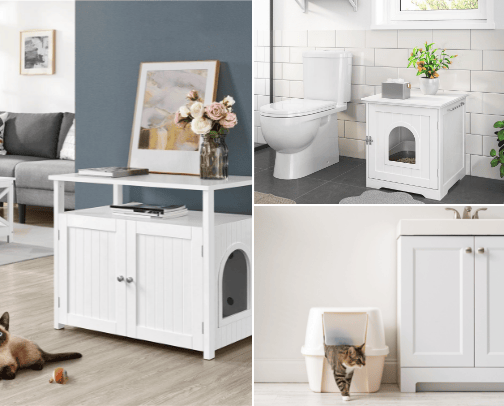 Everthing for a cat owner 
🐱 cover photo collage