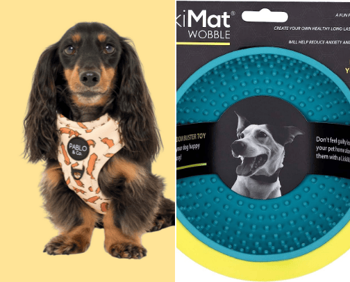 Favourite things for our Golden Retriever, Holly cover photo collage