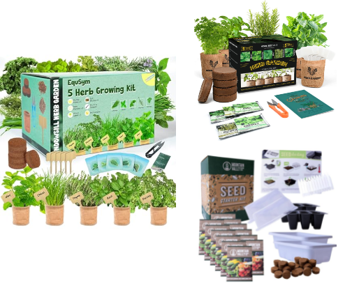 Indoor Herb Kits 🌿 Fresh & Beginner-Friendly cover photo collage