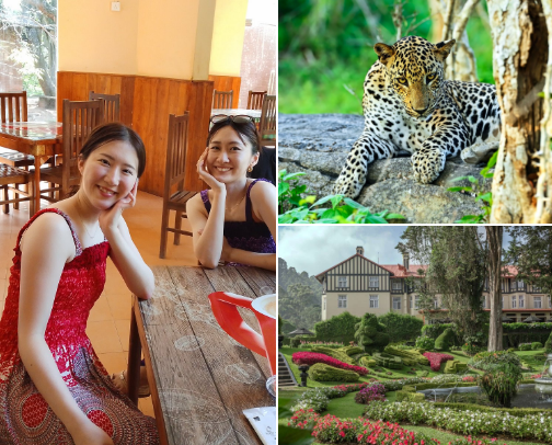 🇱🇰 If You Go to Sri Lanka, You Gotta Go & Stay cover photo collage