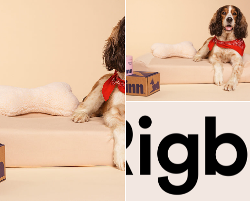 Pets must haves cover photo collage