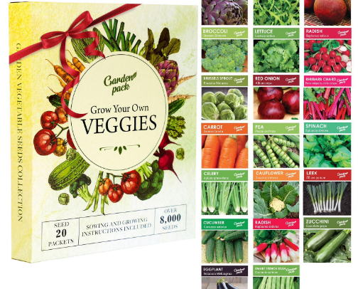 Greenhouse Must-Haves for Beginners Growing Their Own Food cover photo collage
