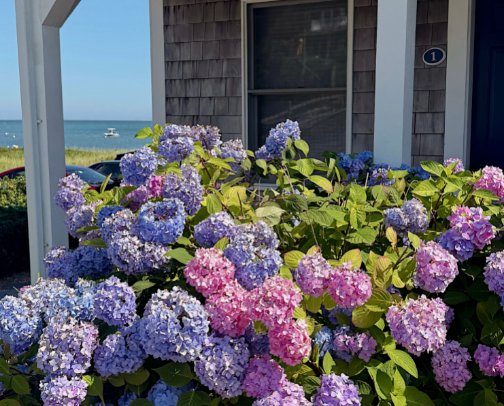 What I Packed for a Week in Cape Cod cover photo collage