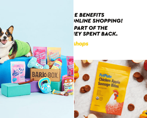 Products For Dogs cover photo collage