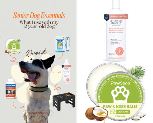 Senior Dog Essentials: 15 items for comfort, mobility and daily care. cover photo collage