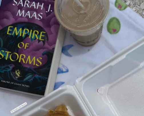 BookTok- But What’s Actually Worth the Read! cover photo collage