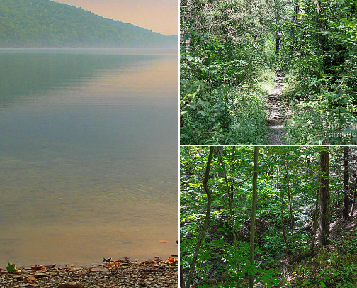 Gorges, Waterfalls and Forest Trails of the Finger Lakes region of New York State cover photo collage