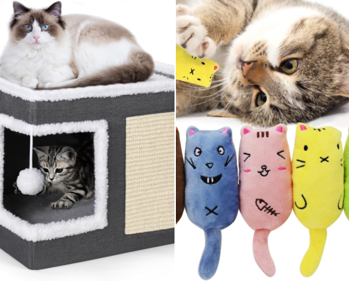 Liste d’indispensables pour les chats 🐈‍⬛ 😻 cover photo collage