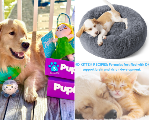 Just My Baby Dawg cover photo collage