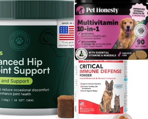 Labrador must-haves! cover photo collage