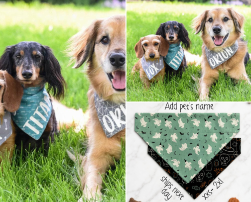 Personalized Dog Bandanas I Grab Before Every Park Day cover photo collage