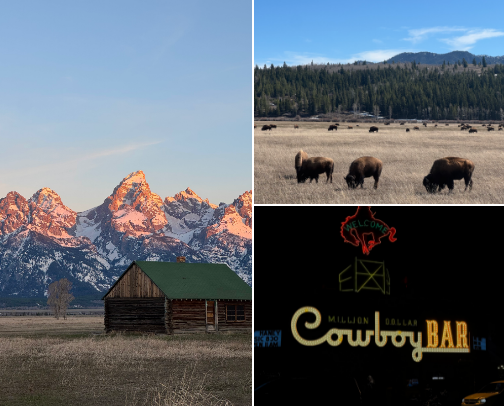 Western Girls' Trip to Jackson Hole, WY Guide cover photo collage