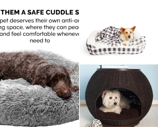 Spoiled Small Dogs & Bunny Essentials cover photo collage