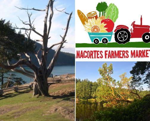 My new list cover photo collage