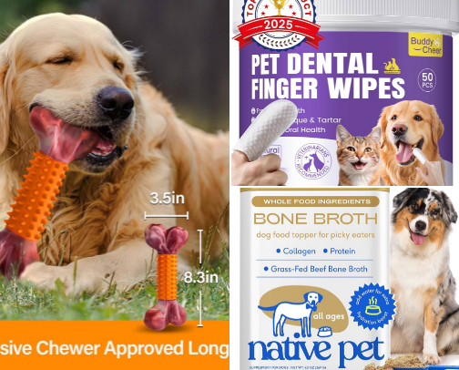 Pup Picks: Amazon Must-Haves for Your Dog” cover photo collage