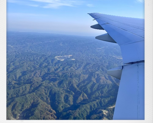 Plane essentials ✈️ cover photo collage