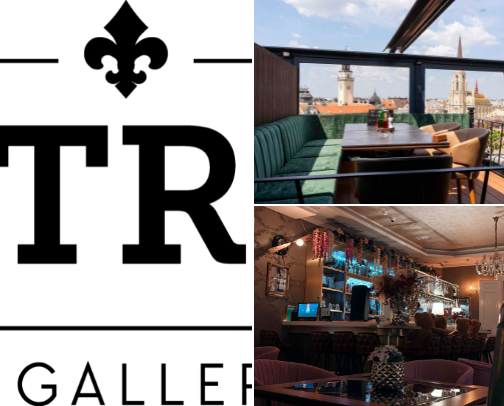places to visit in Novi Sad☕️🍸 cover photo collage